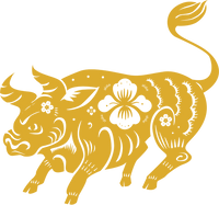 Rat
