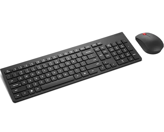 Lenovo エッセンシャル ワイヤレス キーボード&マウス 2 - 英語