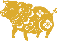 Pig