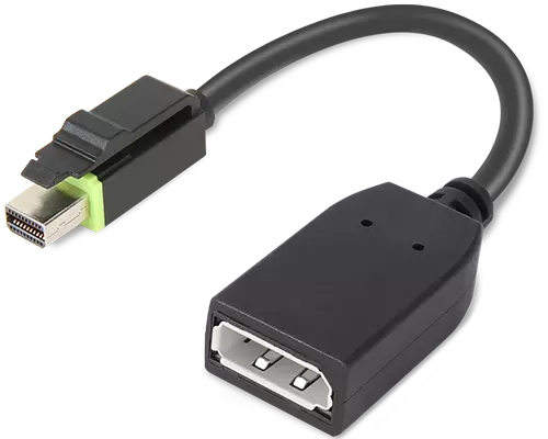 ThinkStation Mini DisplayPort - DisplayPortアダプター